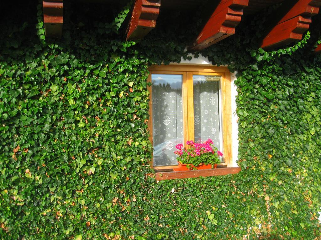 Ubytování na Slučím Tahu Prásily Exterior foto