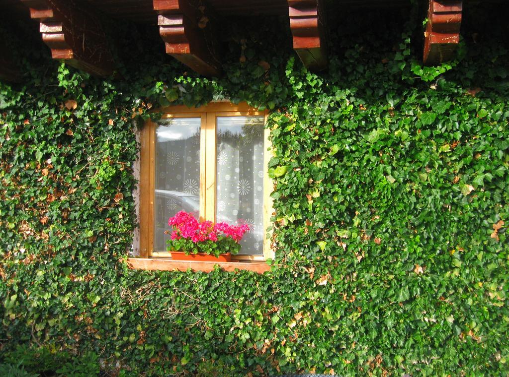 Ubytování na Slučím Tahu Prásily Exterior foto